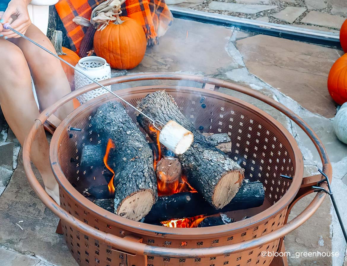 Can You Roast Marshmallows on a Wood Burning Fire Pit?