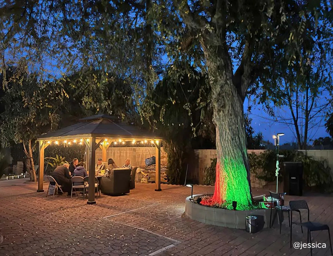 Magical NYC Christmas Activities 2025 β And SUNJOY Ideas to Capture the Spirit