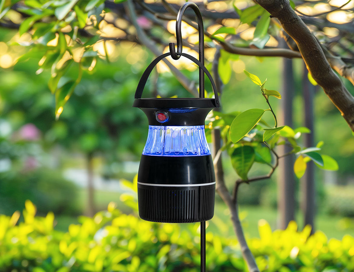 Trend & Unique Garden Accessories 2025