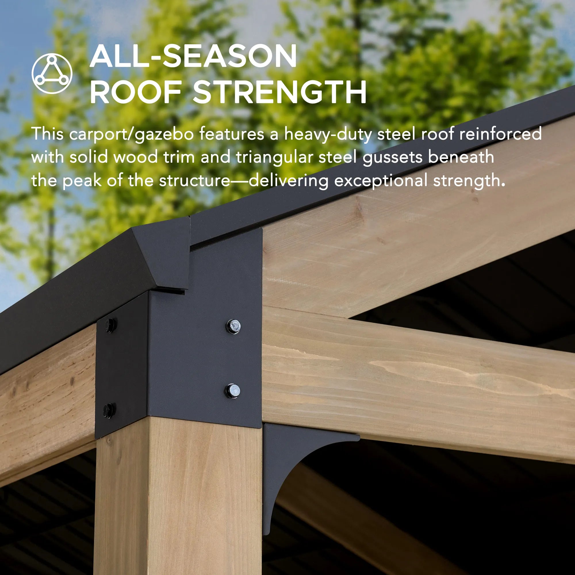 SUNJOY Newville 10x20 Wood Carport with Privacy Wall and Rain Gutter