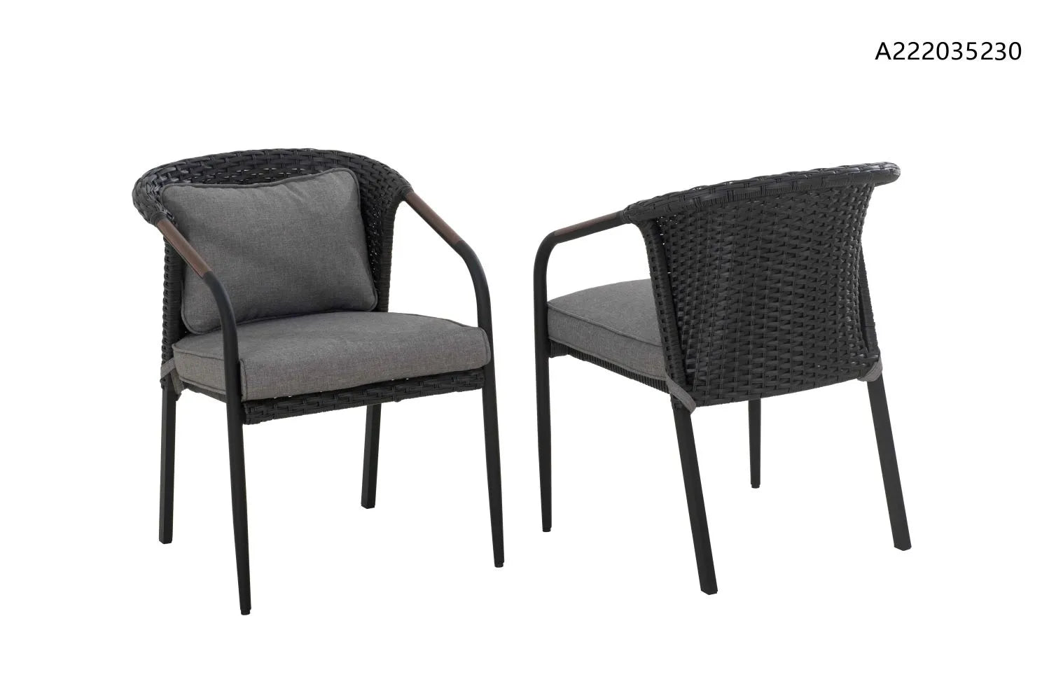 CANVAS Jasper All-Weather Wicker Outdoor/Patio Dining Chair, 2-pk