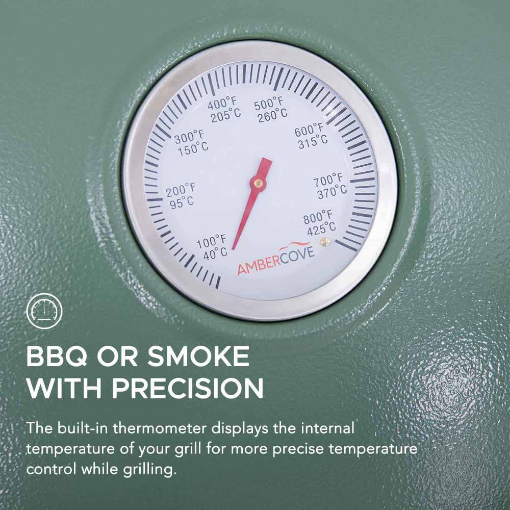 SUNJOY 20 Inch Charcoal Grill, Kamado Grill with Pizza Stone, Ultimate Egg BBQ Grill and Smoker with Wheels - Green