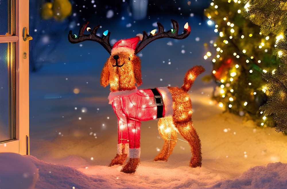 dog with christmas lights