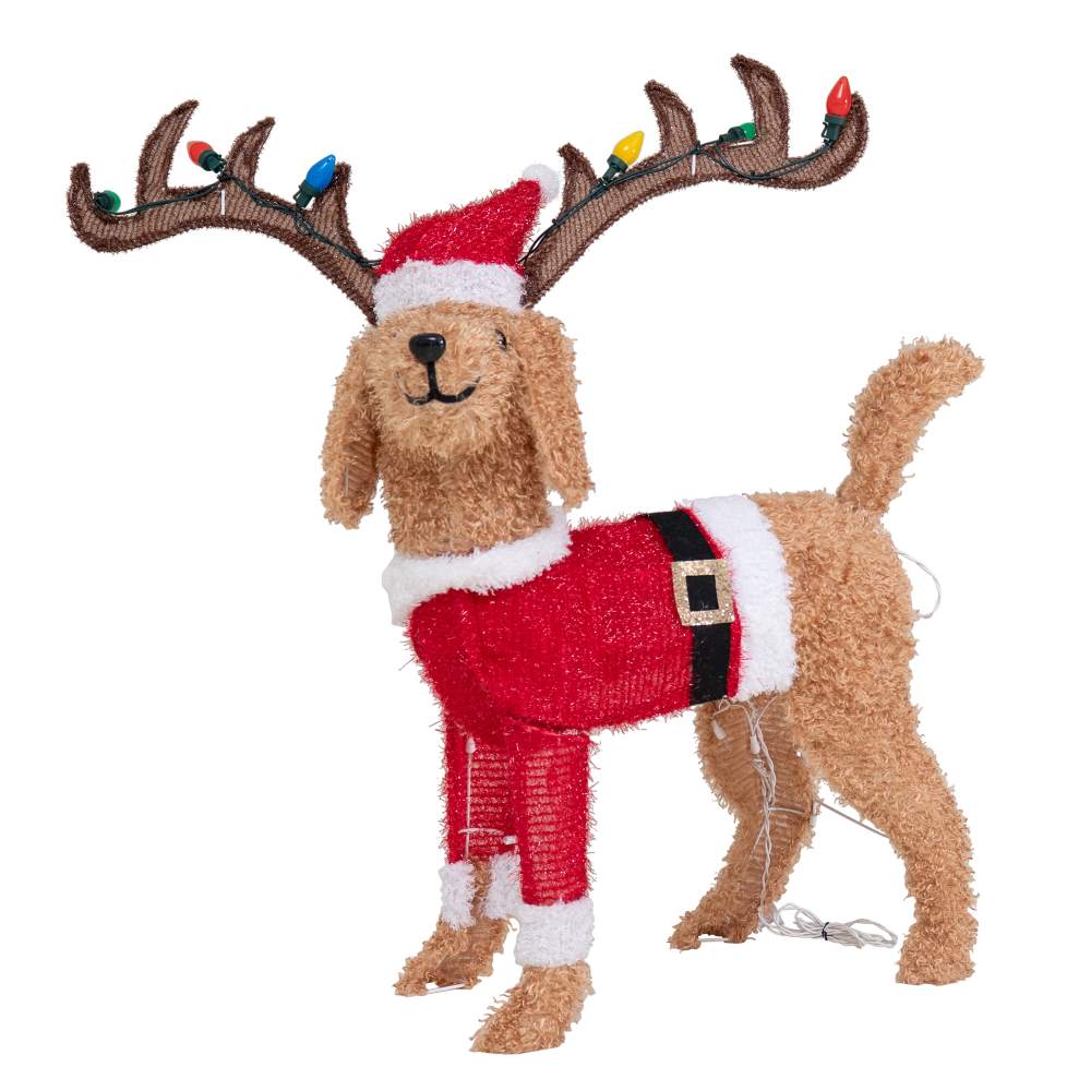 dog with christmas light