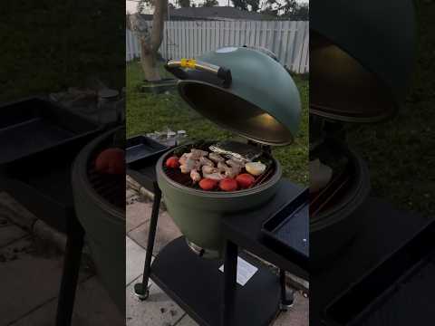 SUNJOY 20 Inch Charcoal Grill, Kamado Grill with Pizza Stone, Ultimate Egg BBQ Grill and Smoker with Wheels