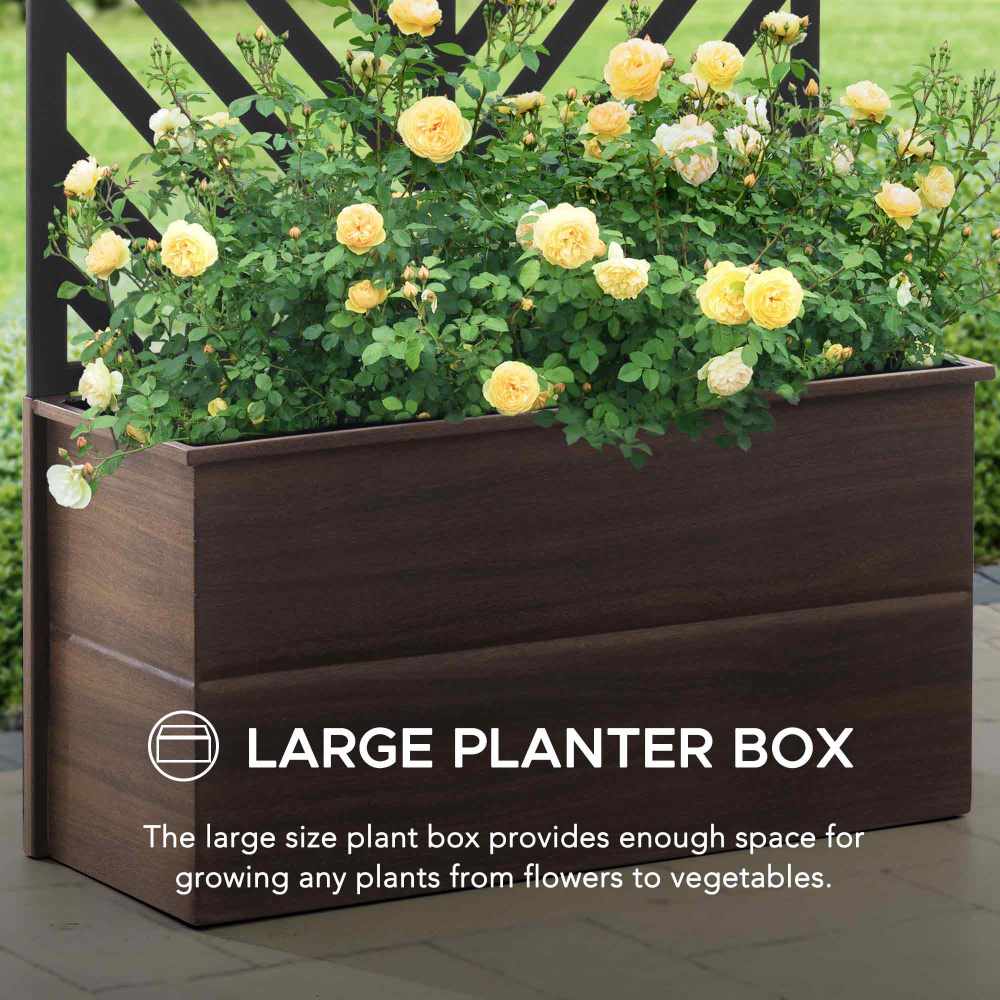 SUNJOY Raised Garden Bed with Trellis - Screen & Planter Box Combo.