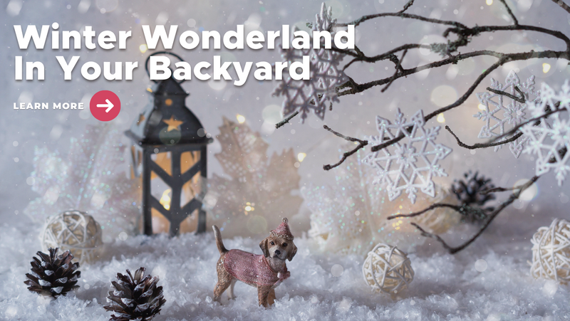 Winter Wonderland In Your Backyard