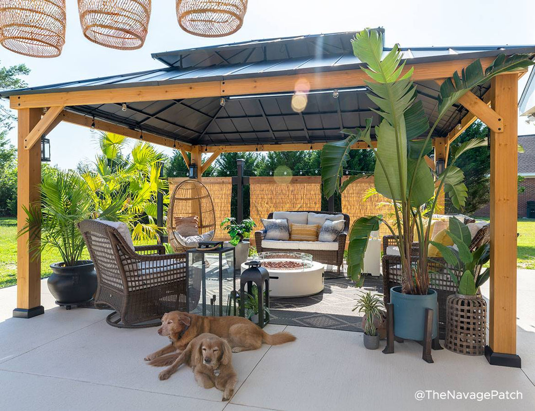Elevate Your Backyard for Your Furry Friend with These Affordable Tips