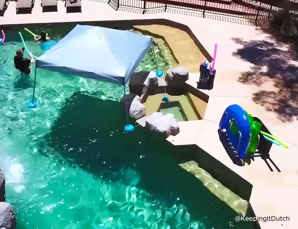 Universal for All Seasons: What Is the Best Product to Put Around a Pool?