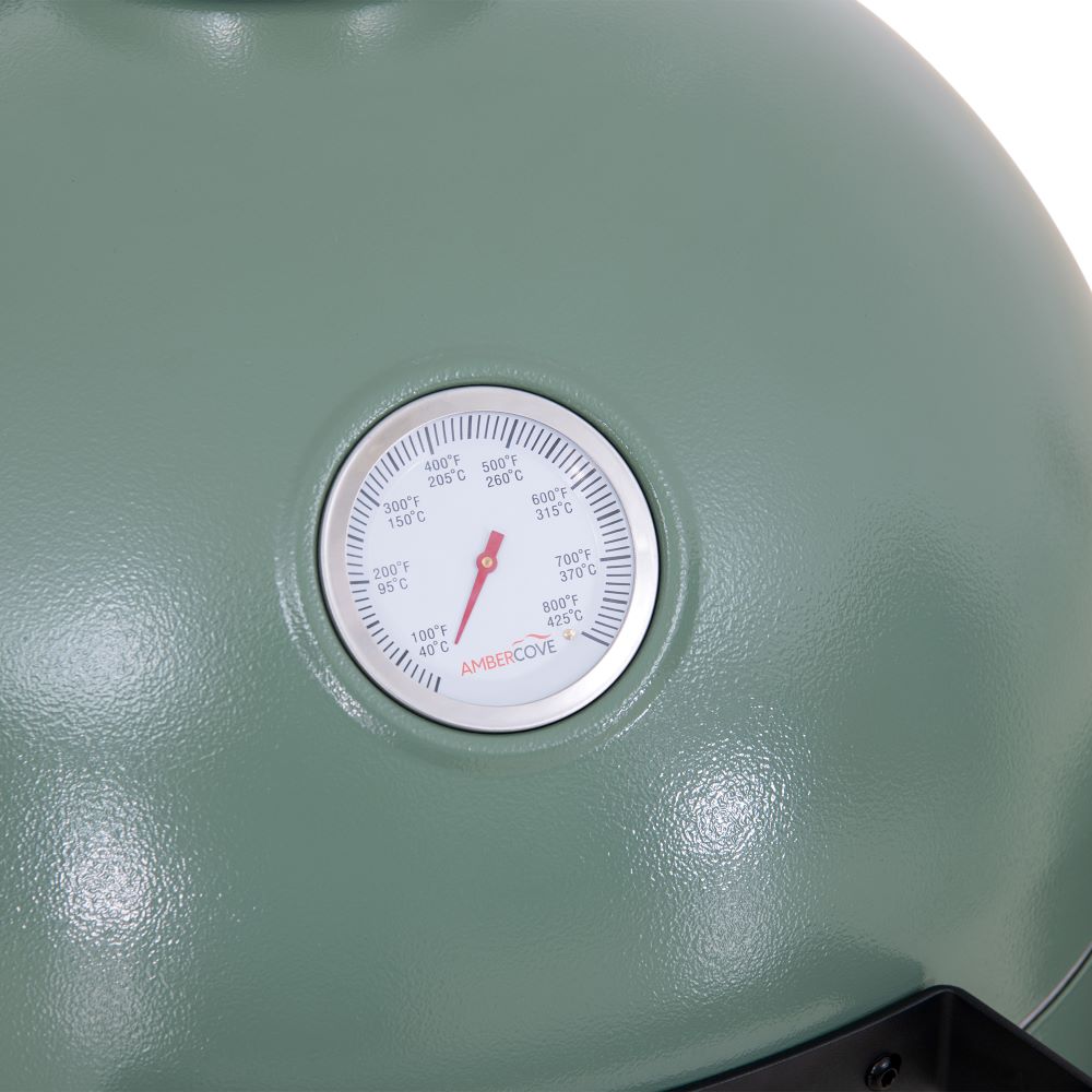 SUNJOY 20 Inch Charcoal Grill, Kamado Grill with Pizza Stone, Ultimate Egg BBQ Grill and Smoker with Wheels - Green