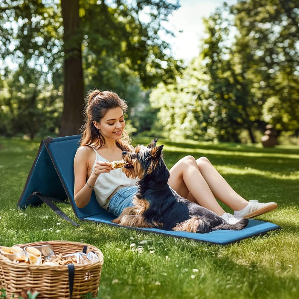 SUNJOY Outdoor Portable Folding Chair with Backrest (Set of 2) - Blue