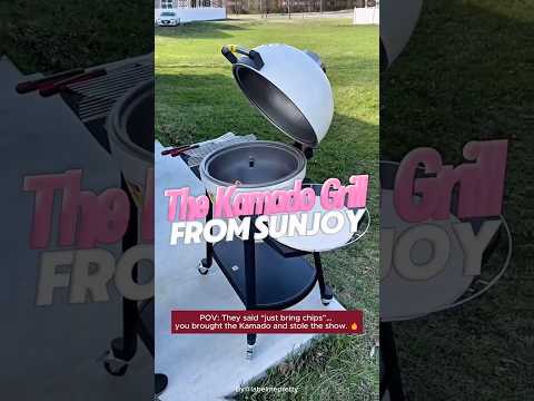 SUNJOY 20 Inch Charcoal Grill, Kamado Grill with Pizza Stone, Ultimate Egg BBQ Grill and Smoker with Wheels 